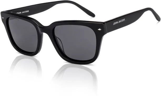 Matte Black Wayfarer Sunglasses